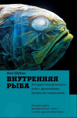Внутрішня риба. Як мільярди років еволюції сформували людське тіло 22151dg фото