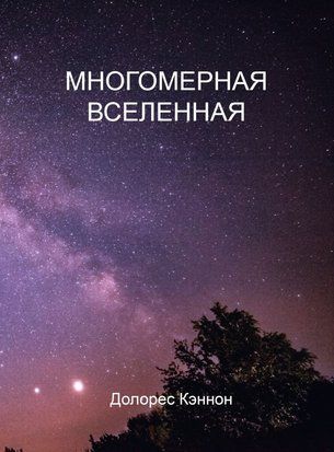 Многомерная Вселенная. Том 1 16936dg фото