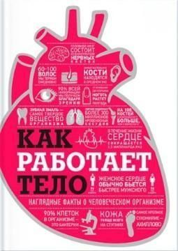 Как работает тело 1534к фото