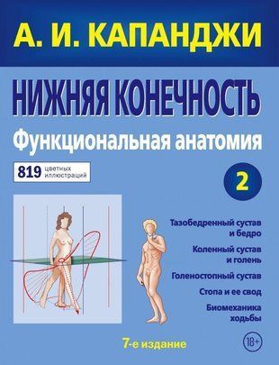 Нижняя конечность. Функциональная анатомия (обновленное издание) 2293к фото