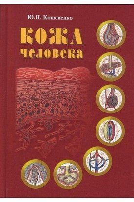 Кожа человека. Структура, физиология и предназначение функциональных элементов кожного органа человека (скан) 14117 фото