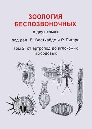 Зоология беспозвоночных. Том 2. От артропод до иглокожих и хордовых 214464267236 фото