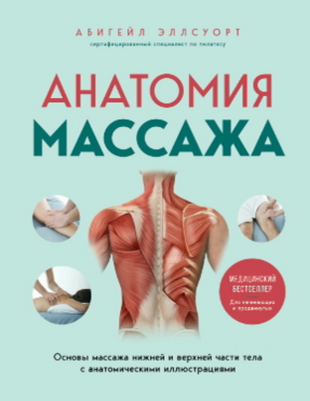 Анатомія масажу. Основи роботи з верхньою та нижньою частинами тіла з анатомічними ілюстраціями 20954dg фото