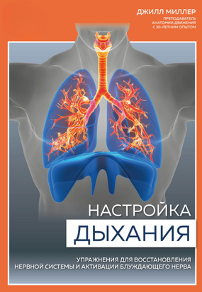 Налаштування дихання. Вправи для відновлення нервової системи та активації блукайливого нерва 238001230 фото