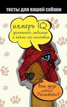 Тести для вашого собаки. Виміряй IQ домашнього улюбленця та зрозумій його психотип 17742dg фото