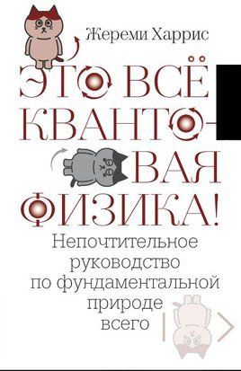 Це все квантова фізика! Нешанобливе керівництво з фундаментальної природи всього 17396dg фото