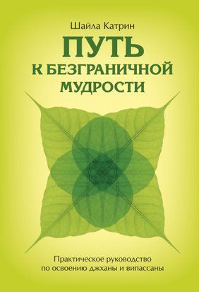 Шлях до безмежної мудрості. Практичний посібник з освоєння джхани та віпасани 16948dg фото